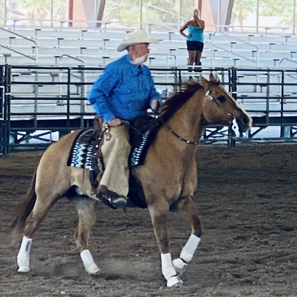 BELLES rênes Romel tressées vintage en veau - Show Reining Cowhorse